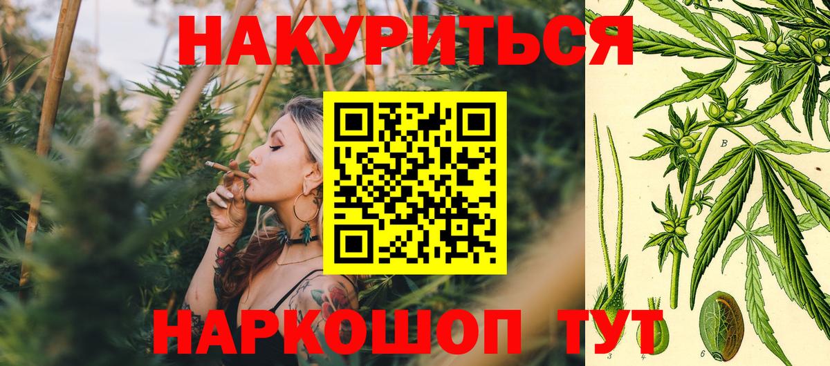 Канабис ГИДРОПОН Сафоново